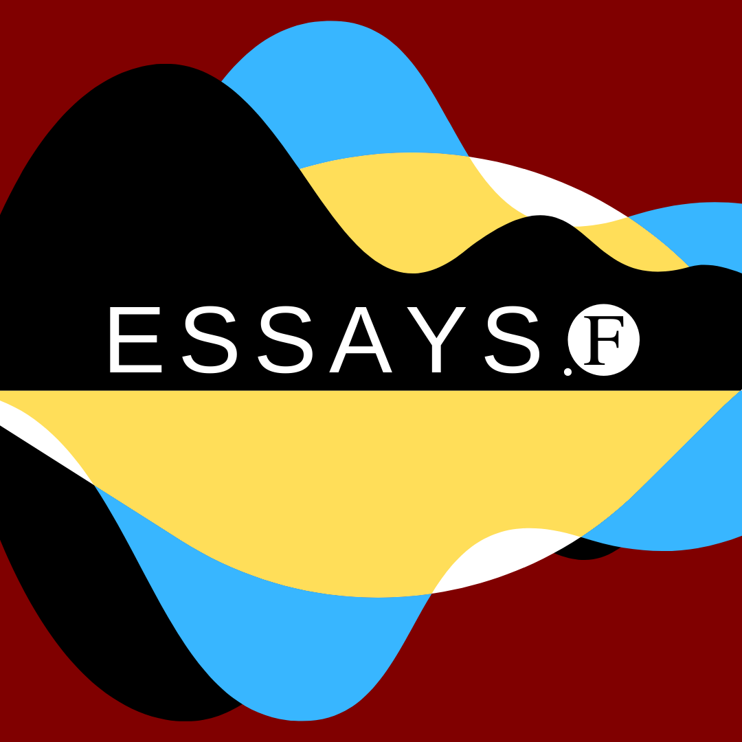 make an essay about your ideal society