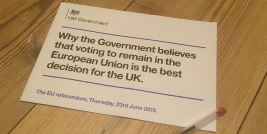 Turn out or else: do referendum campaigns actually change voters' minds?