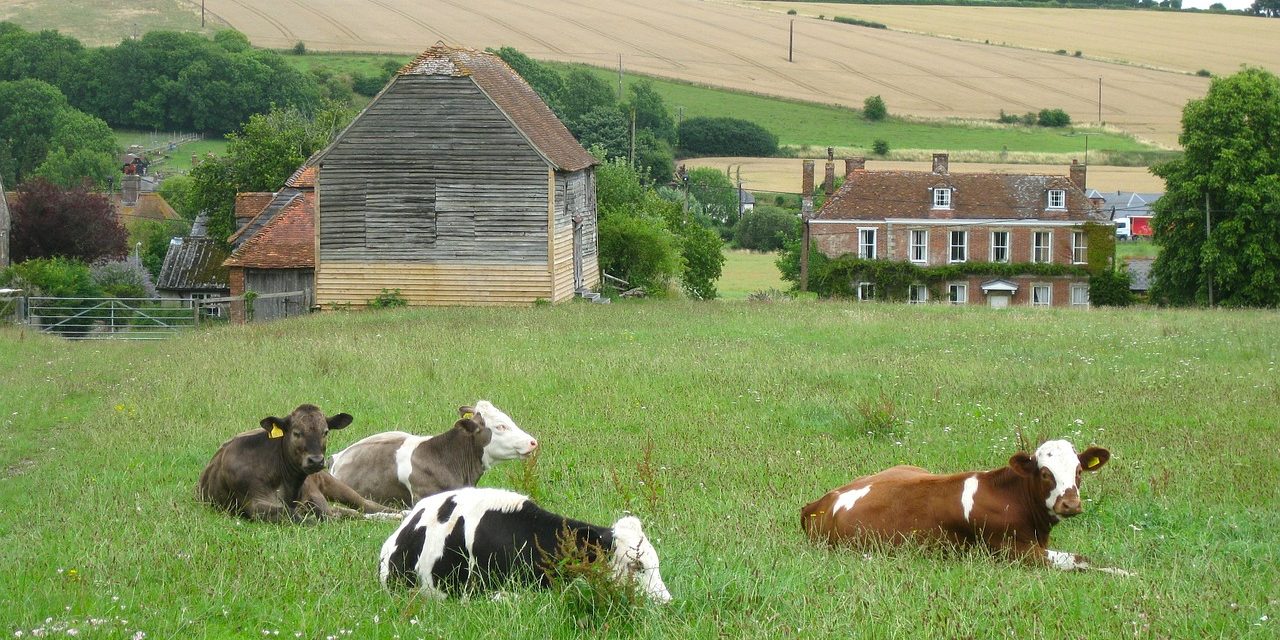 Don’t forget the countryside: rural communities and Brexit
