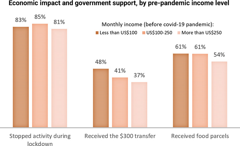 Graph showing how government support impacted different income groups in different ways