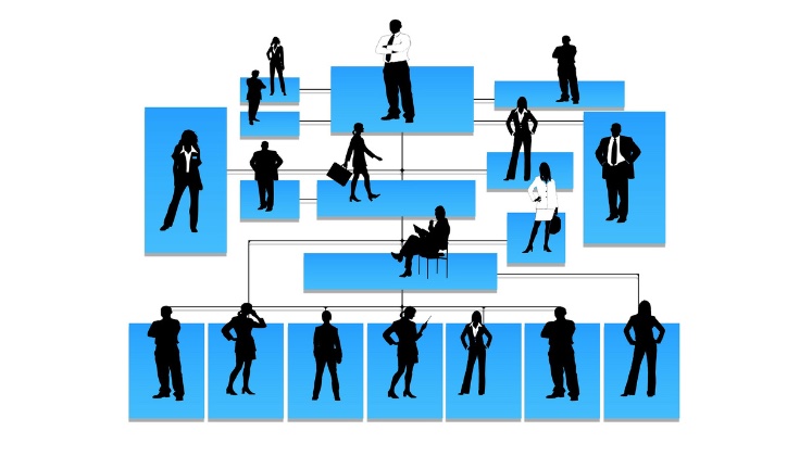 Graphic showing a hierarchy of different people in an office