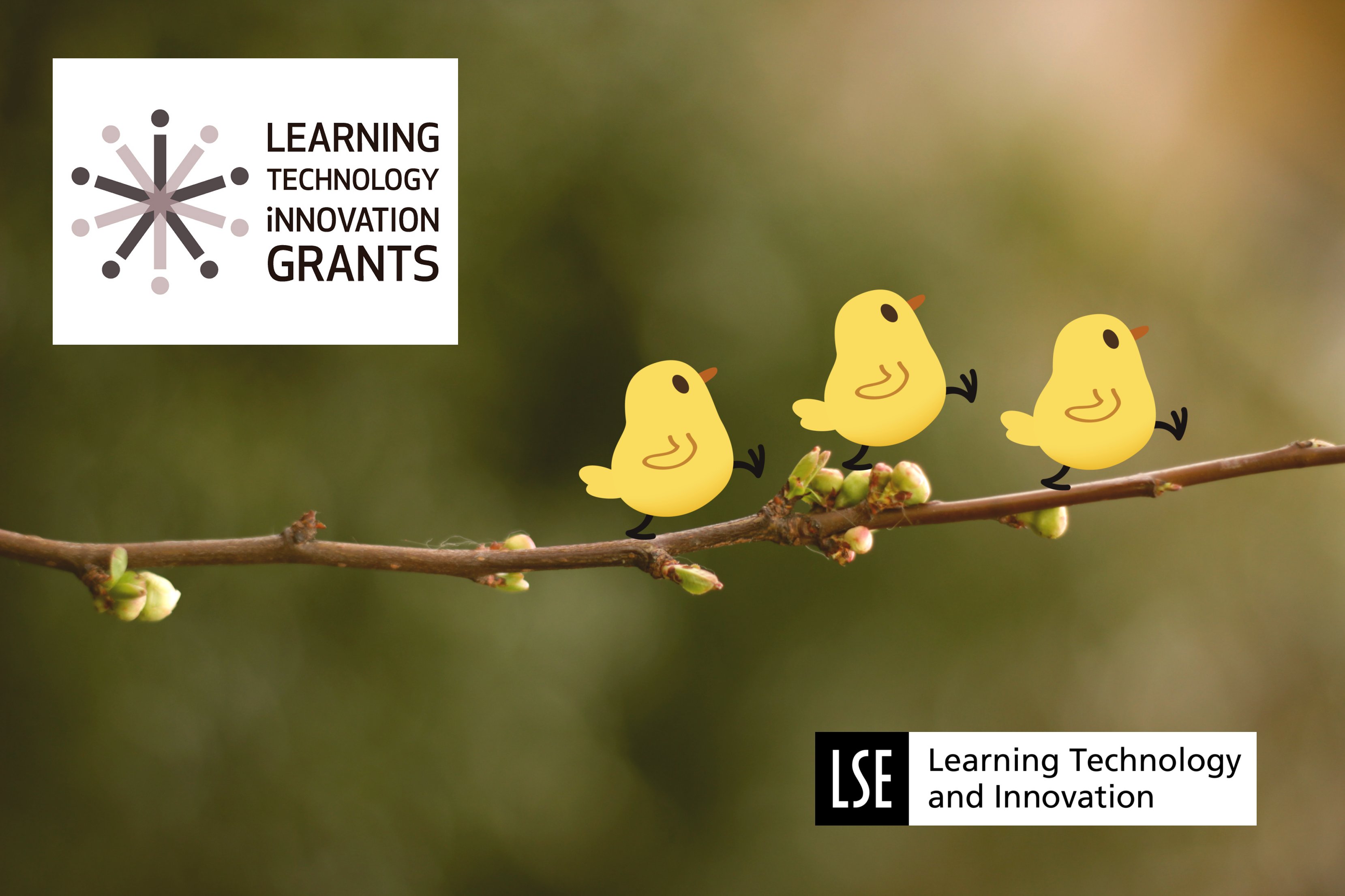 Introducing the LTI grants and ideas for applications