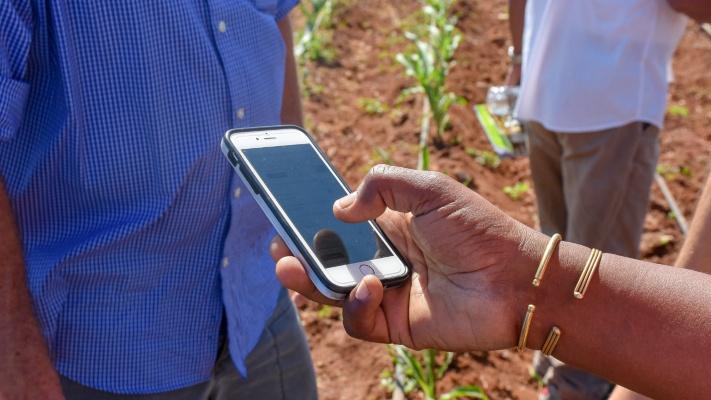 Three people testing a new app in a crop field in Kenya