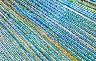 Abstract image of stripes in turquoise and orange hues