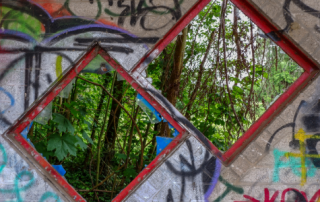 graffitied wall with two diamond shaped windows showing lush green forest behind
