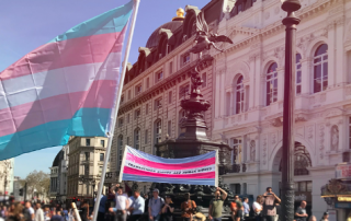 photograph taken at protest parade for trans rights including two trans pride flags