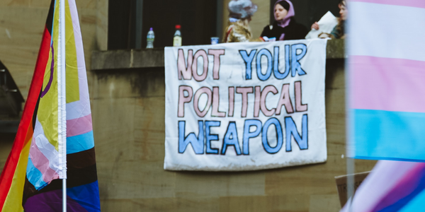 Protest sign reading "not your political weapon" in pink and blue text. trans pride and LGBTQ+ pride flags also in frame.