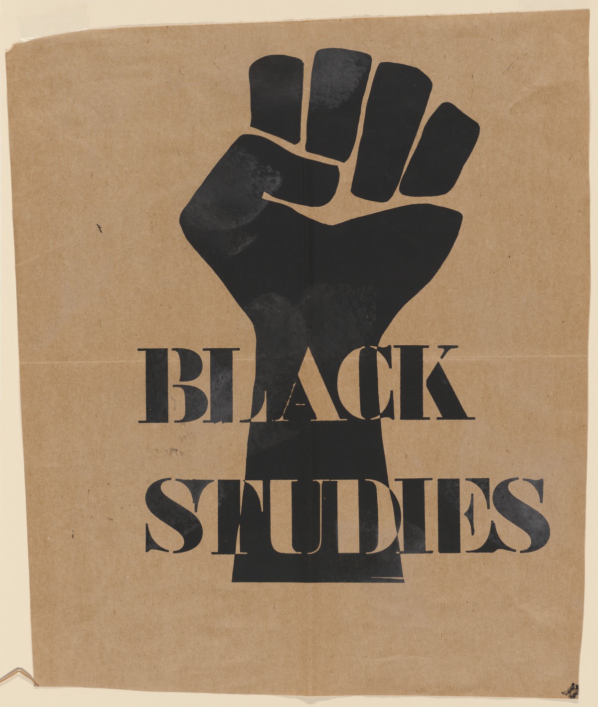 Rethinking Black Studies as a Freedom Project