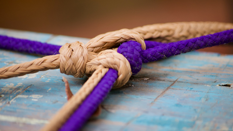 Ropes tied in a knot