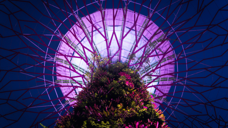 Gardens in the Bay, Singapore
