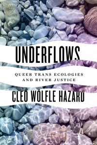 Book cover of Underflows