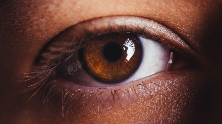 Close-up image of brown eye