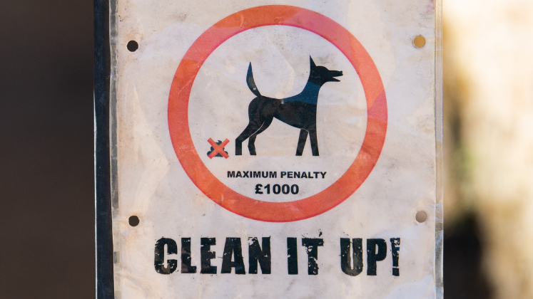 Dog mess sign reading 'Clean It Up!'
