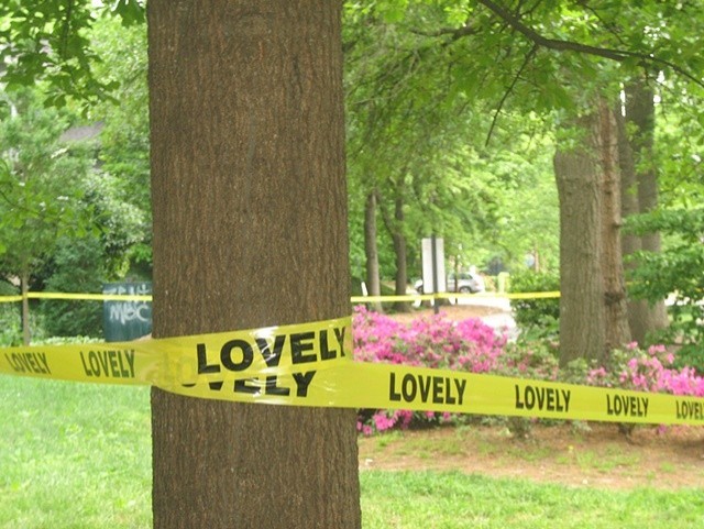 Yellow plastic tape wrapped around tree reading 'Lovely'