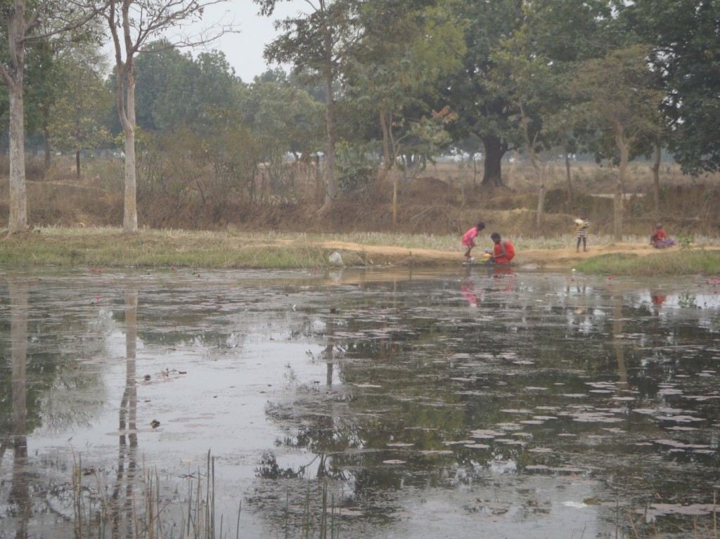 Figure 1: Fresh water ponds in the villages are now completely polluted due to mining activities (Photo credit: Kanchan Gandhi, February 2013)