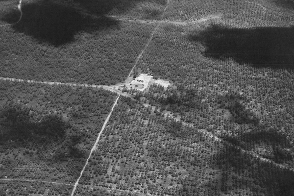 Aerial view of Firestone rubber plantation, Firestone Plantations Company, Views in Liberia (Chicago: Lakeside Press, R R Donnelley & Sons, 1937)