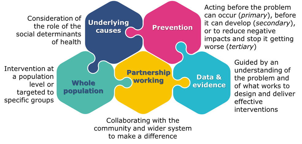 Figure 3. Five elements common to public health approaches.