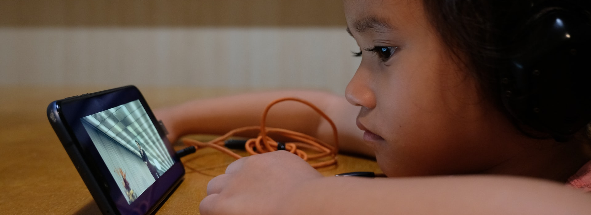 Playing IT Safe: developing young children’s understanding of digital networks