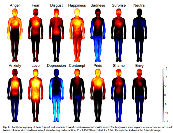 Image showing bodies and how words affect emotions