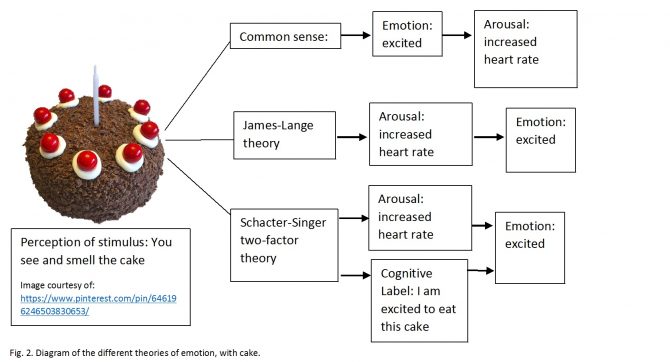 Diagram showing the different theories of emotion